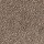 Horizon Carpet: City Shores (S) Woodbark